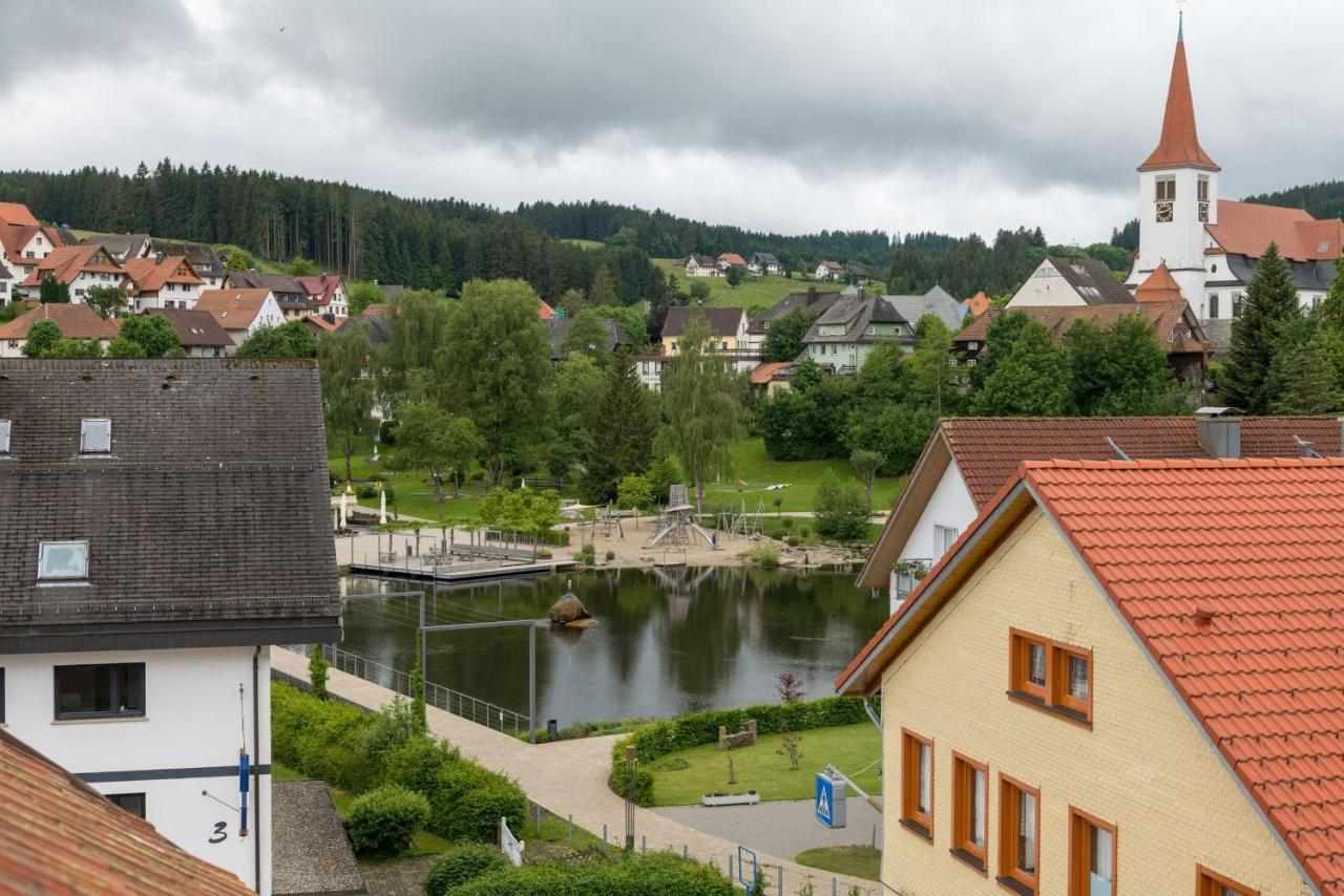 Grosses Ferienhaus Mit Sauna, Grill, Garten, Kaminofen Apartment Schonach im Schwarzwald Luaran gambar